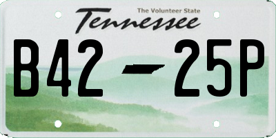 TN license plate B4225P