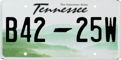 TN license plate B4225W