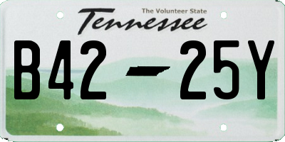 TN license plate B4225Y