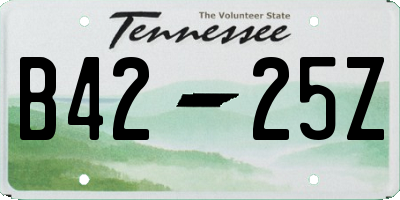TN license plate B4225Z