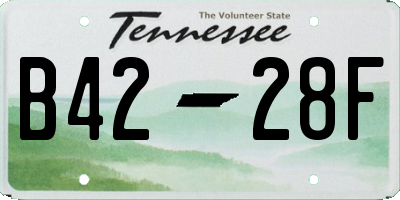 TN license plate B4228F