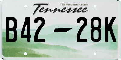 TN license plate B4228K
