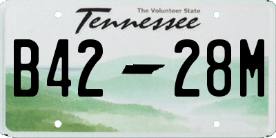 TN license plate B4228M
