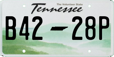 TN license plate B4228P