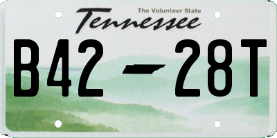 TN license plate B4228T