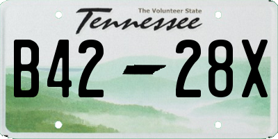 TN license plate B4228X