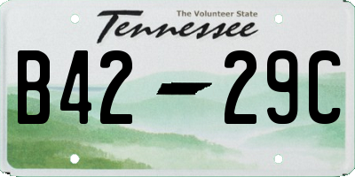 TN license plate B4229C
