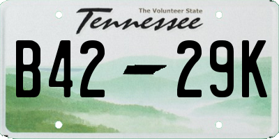 TN license plate B4229K
