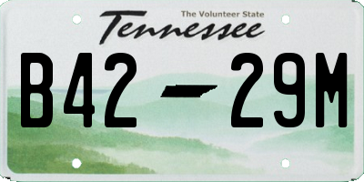 TN license plate B4229M