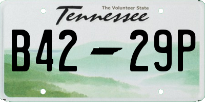 TN license plate B4229P