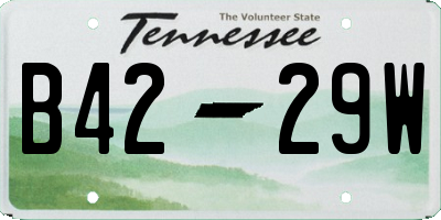 TN license plate B4229W