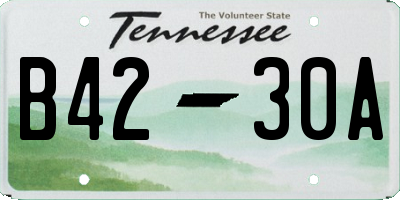 TN license plate B4230A