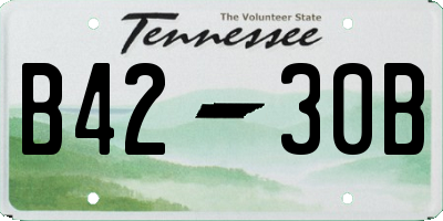 TN license plate B4230B