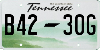 TN license plate B4230G
