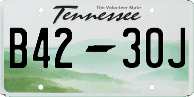 TN license plate B4230J