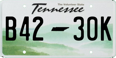 TN license plate B4230K