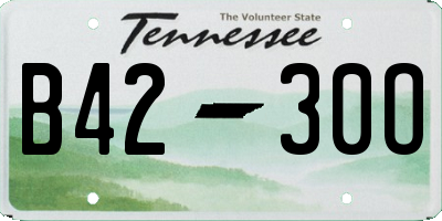 TN license plate B4230O