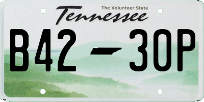 TN license plate B4230P