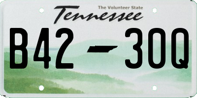 TN license plate B4230Q