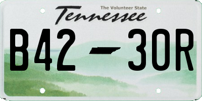 TN license plate B4230R