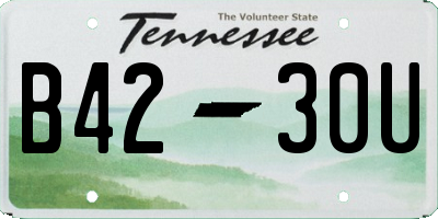 TN license plate B4230U