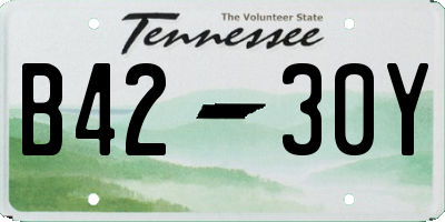 TN license plate B4230Y