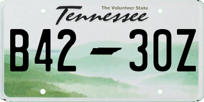 TN license plate B4230Z