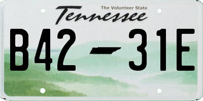 TN license plate B4231E