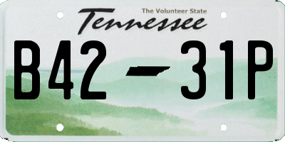 TN license plate B4231P