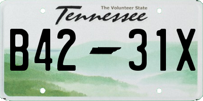 TN license plate B4231X