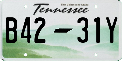 TN license plate B4231Y