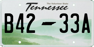 TN license plate B4233A