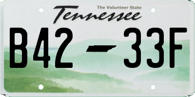 TN license plate B4233F