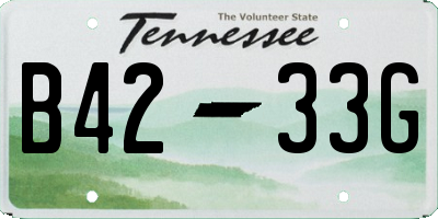 TN license plate B4233G