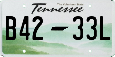 TN license plate B4233L
