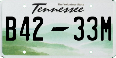TN license plate B4233M
