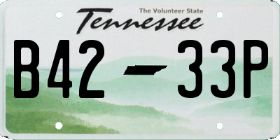 TN license plate B4233P