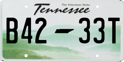 TN license plate B4233T