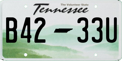 TN license plate B4233U