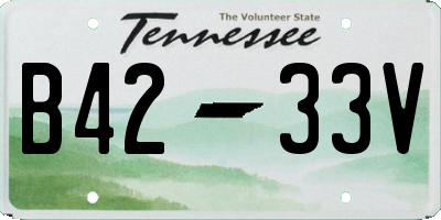 TN license plate B4233V