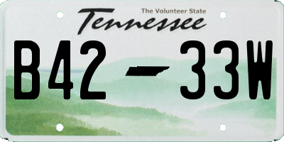TN license plate B4233W