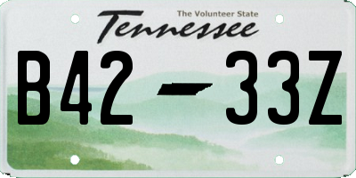 TN license plate B4233Z