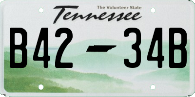TN license plate B4234B