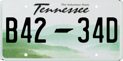 TN license plate B4234D