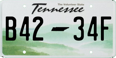 TN license plate B4234F