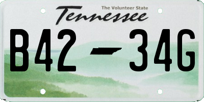 TN license plate B4234G