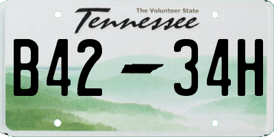TN license plate B4234H