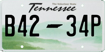 TN license plate B4234P