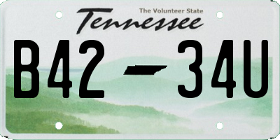 TN license plate B4234U