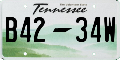 TN license plate B4234W